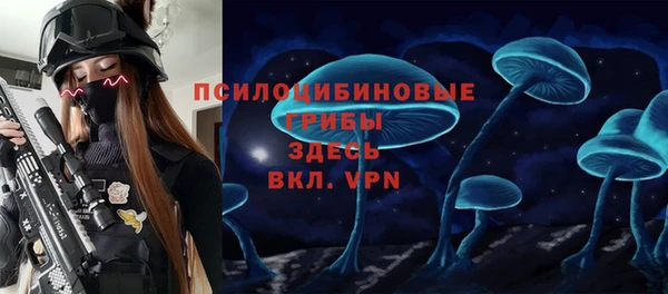 крисы Вязьма