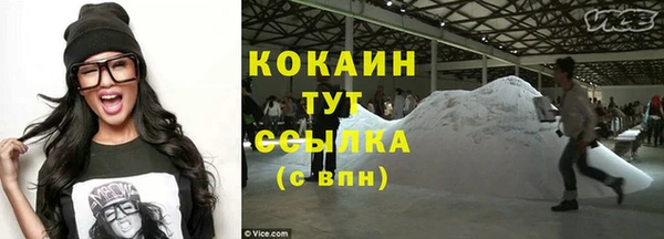 крисы Вязьма