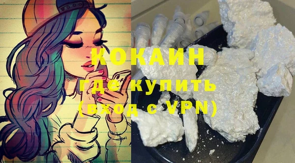 крисы Вязьма