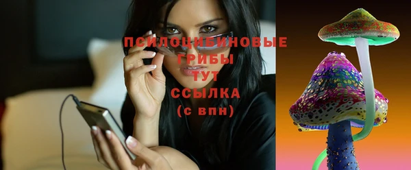 таблы Вяземский