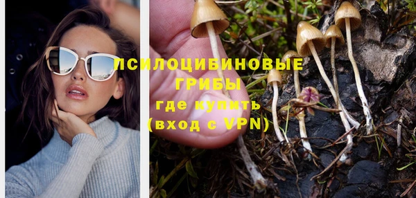 таблы Вяземский