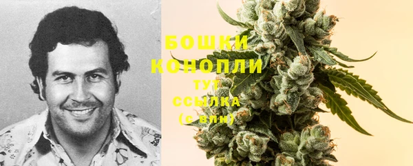 таблы Вяземский