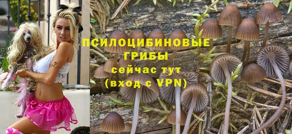 таблы Вяземский