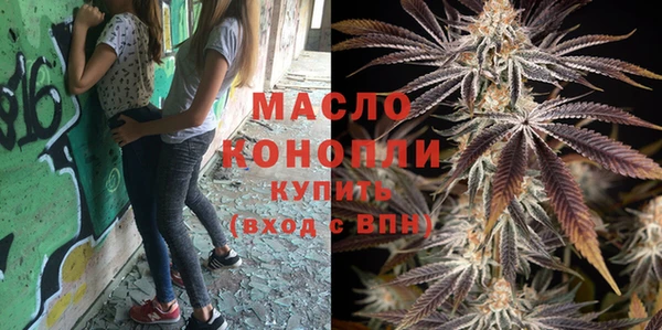 крисы Вязьма