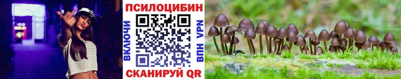 Галлюциногенные грибы ЛСД  Купить  Инза 